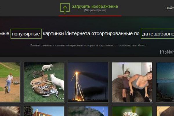 Ссылка на кракен тор магазин