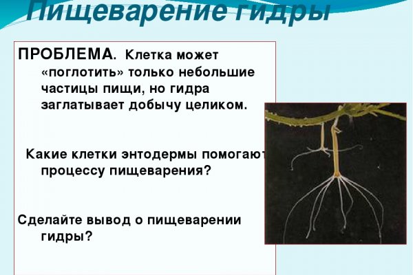 Кракен тор store