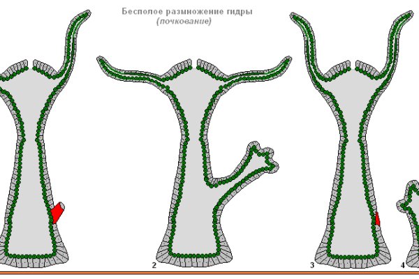 Кракен даркнет ссылка kraken link24 info