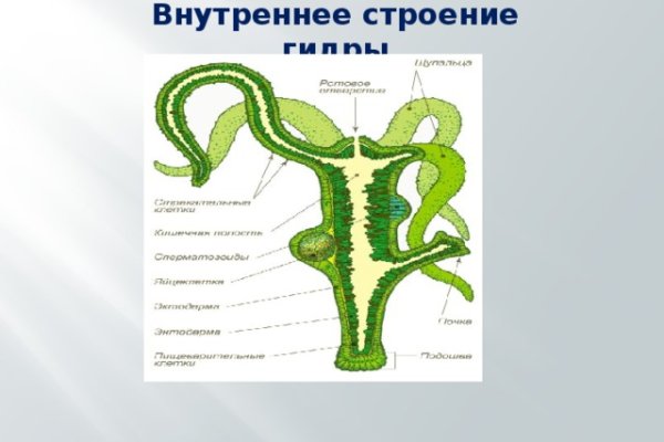Кракен официальная ссылка зеркало