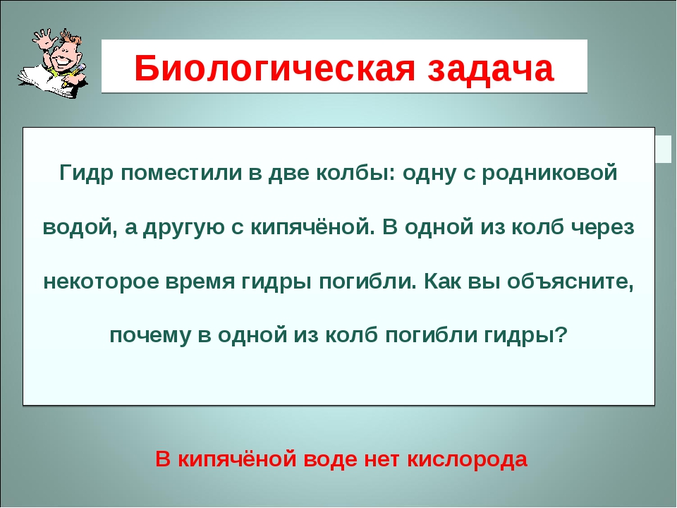 Сайт кракен россия