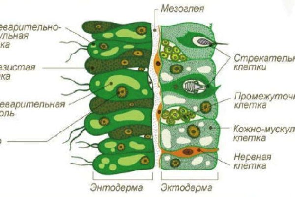 Как найти kraken