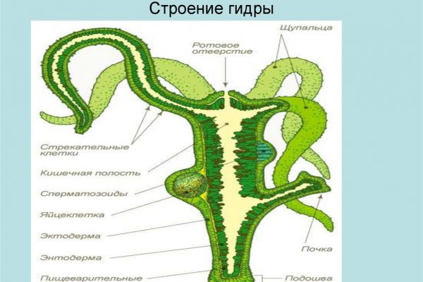 Что такое кракен только через тор