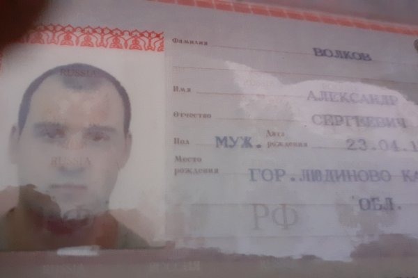 Рабочая ссылка кракен в тор
