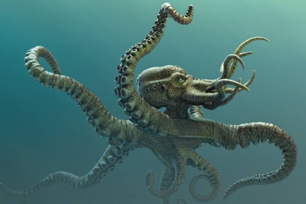 Kraken сайт kraken torion